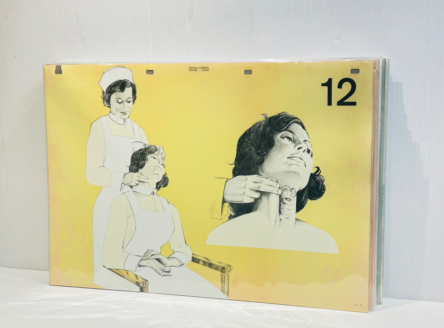 Scandi Art - Laerdal Anatomical Teaching Chart – Vintage Nursing & CPR Education, Medical Ephemera