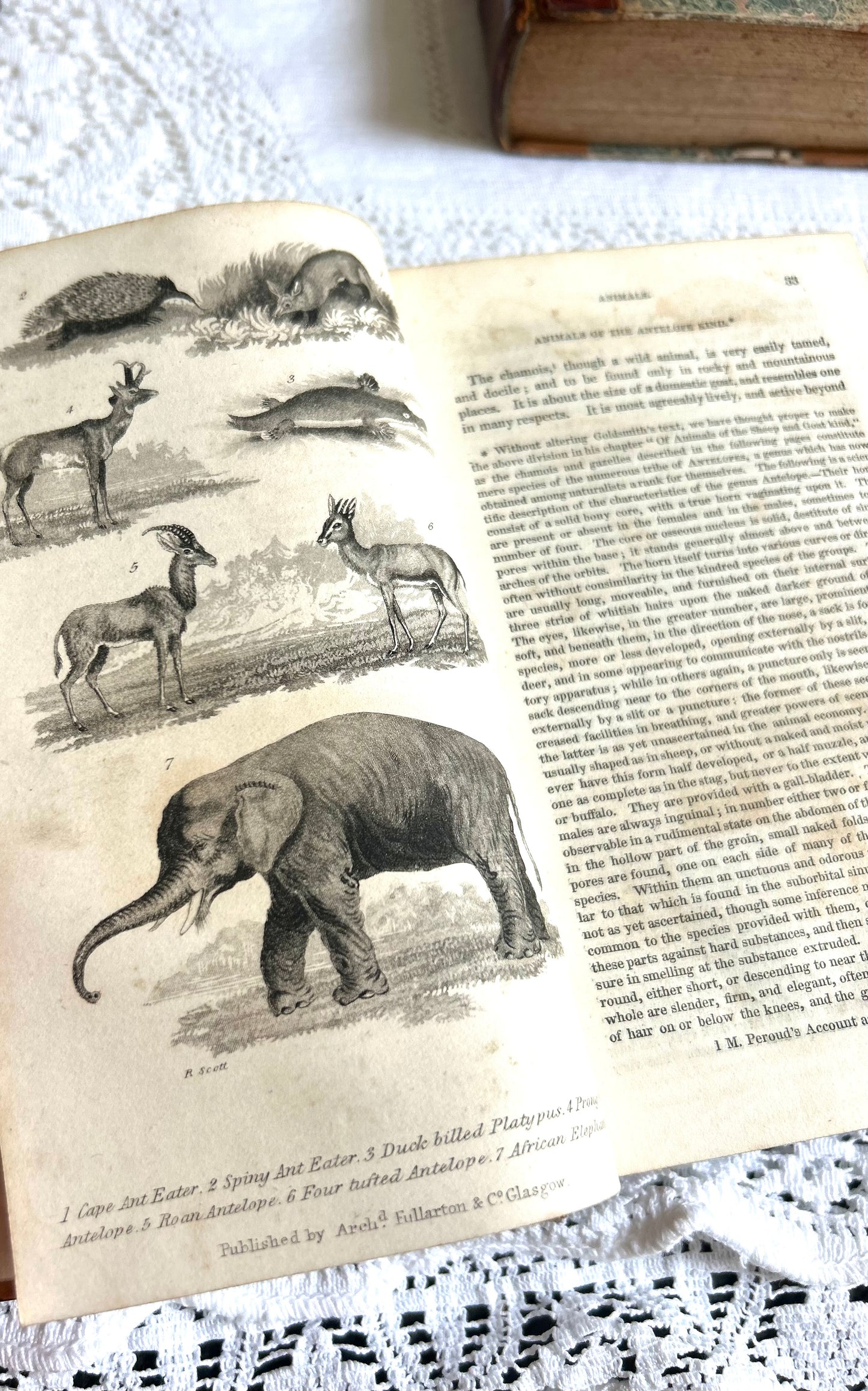 Duodecimo 4 Volume Set of Goldsmiths History of the Earth