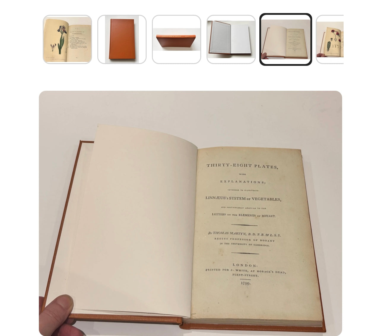 1799 Botanical Glossary by Thomas Martyn — Antique Linnaean Science Book (Rebound)
