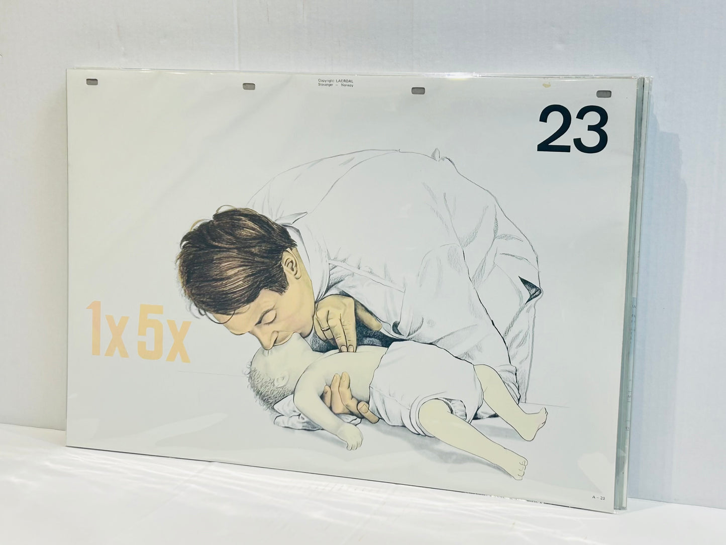 Scandi Art - Laerdal Anatomical Teaching Chart – Vintage Nursing & CPR Education, Medical Ephemera