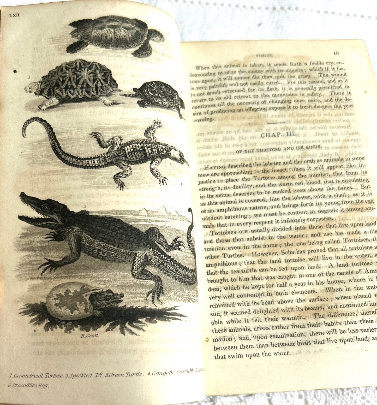 Duodecimo 4 Volume Set of Goldsmiths History of the Earth