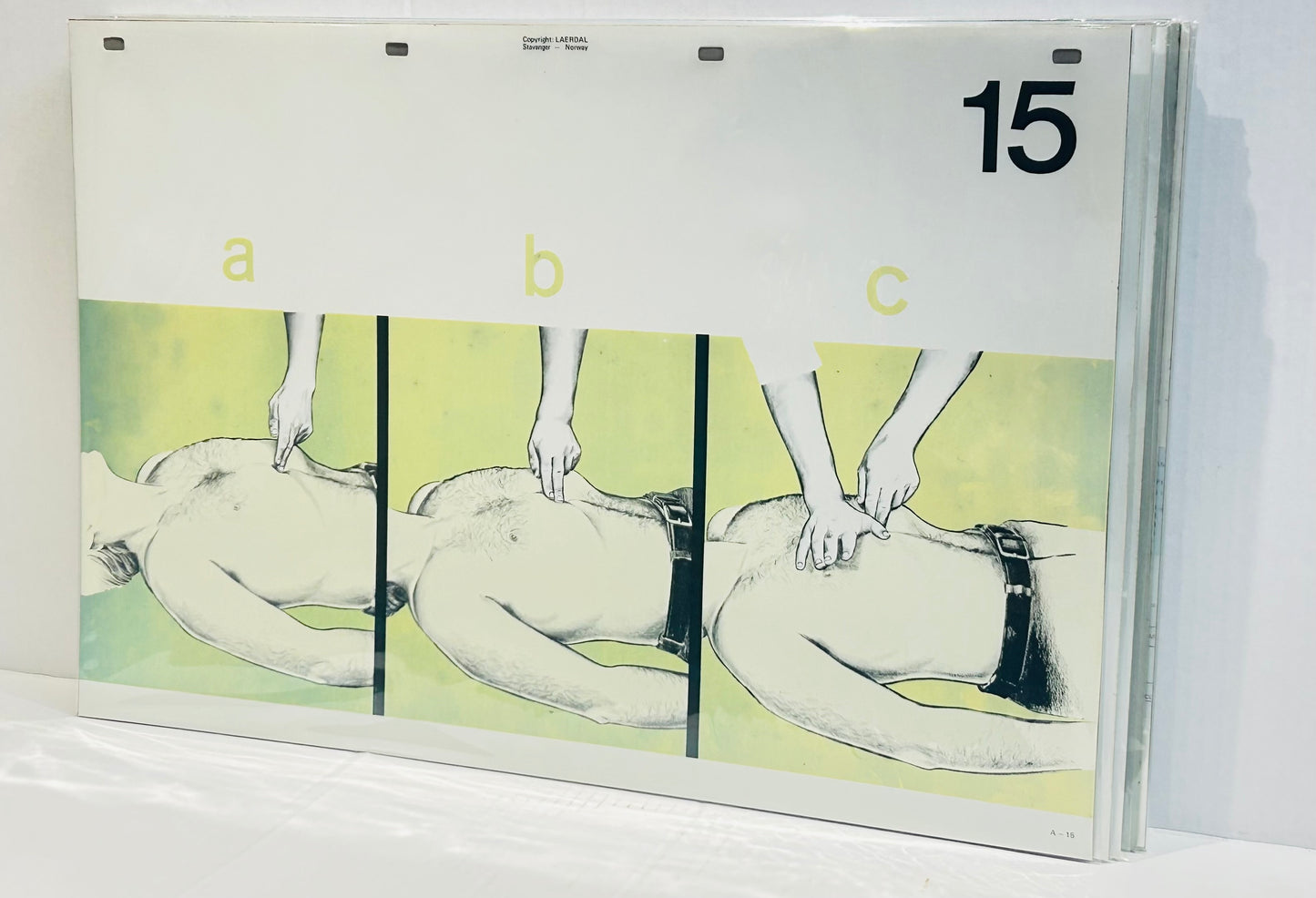 Scandi Art - Laerdal Anatomical Teaching Chart – Vintage Nursing & CPR Education, Medical Ephemera