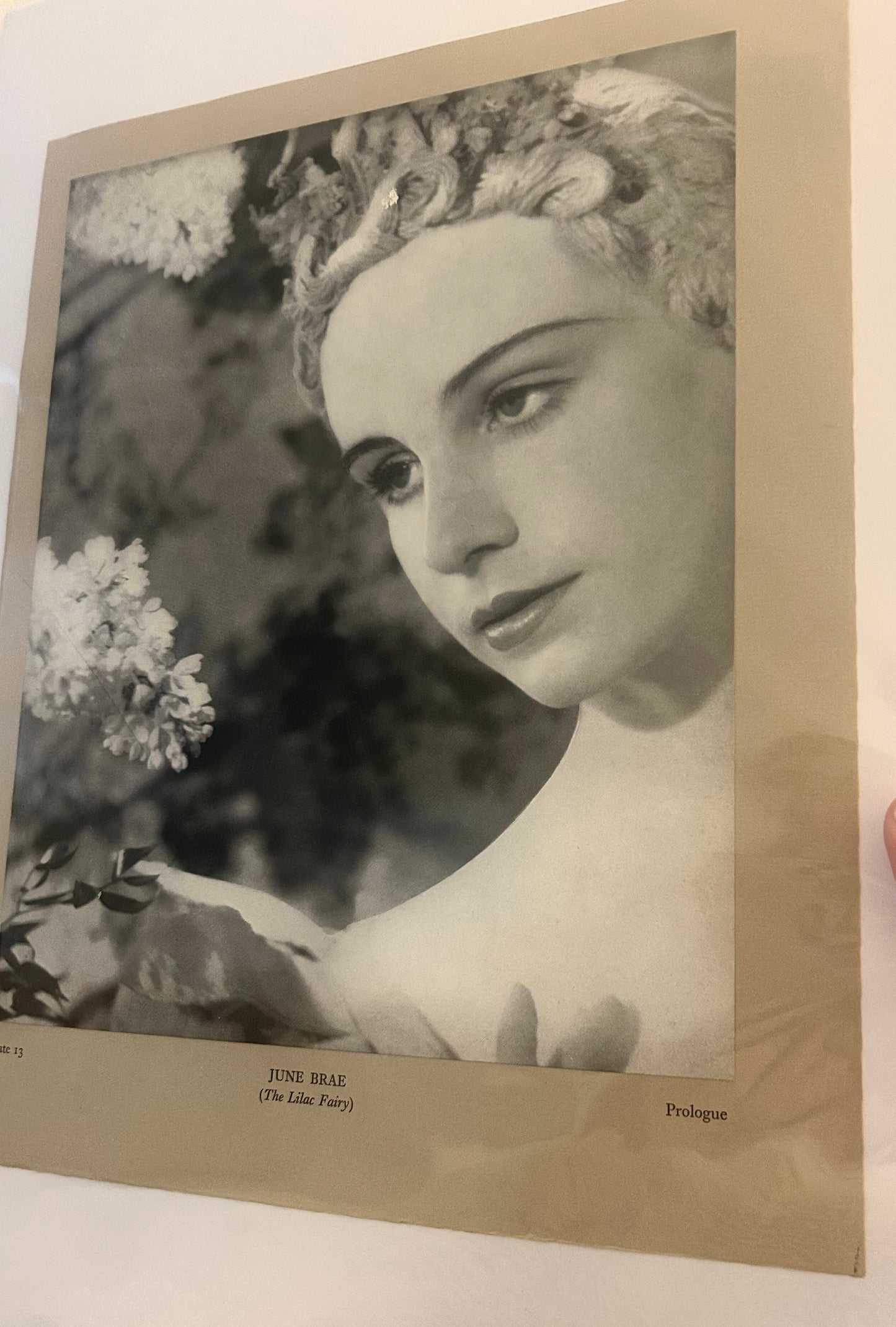 Schwarz-Weiß-Kamerastudien, Vintage-Ballettdruck, June Brae, Die Fliederfee / Dornröschen