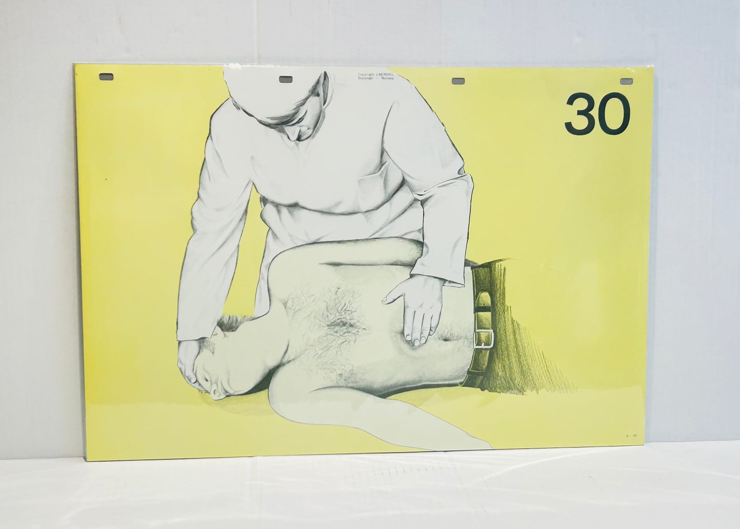 Scandi Art - Laerdal Anatomical Teaching Chart – Vintage Nursing & CPR Education, Medical Ephemera