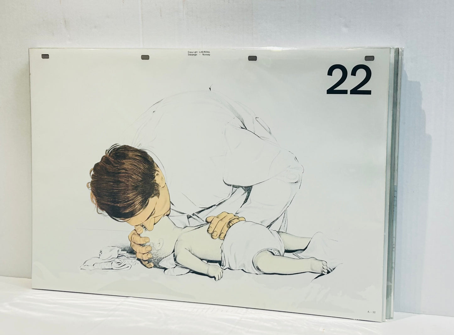 Scandi Art - Laerdal Anatomical Teaching Chart – Vintage Nursing & CPR Education, Medical Ephemera