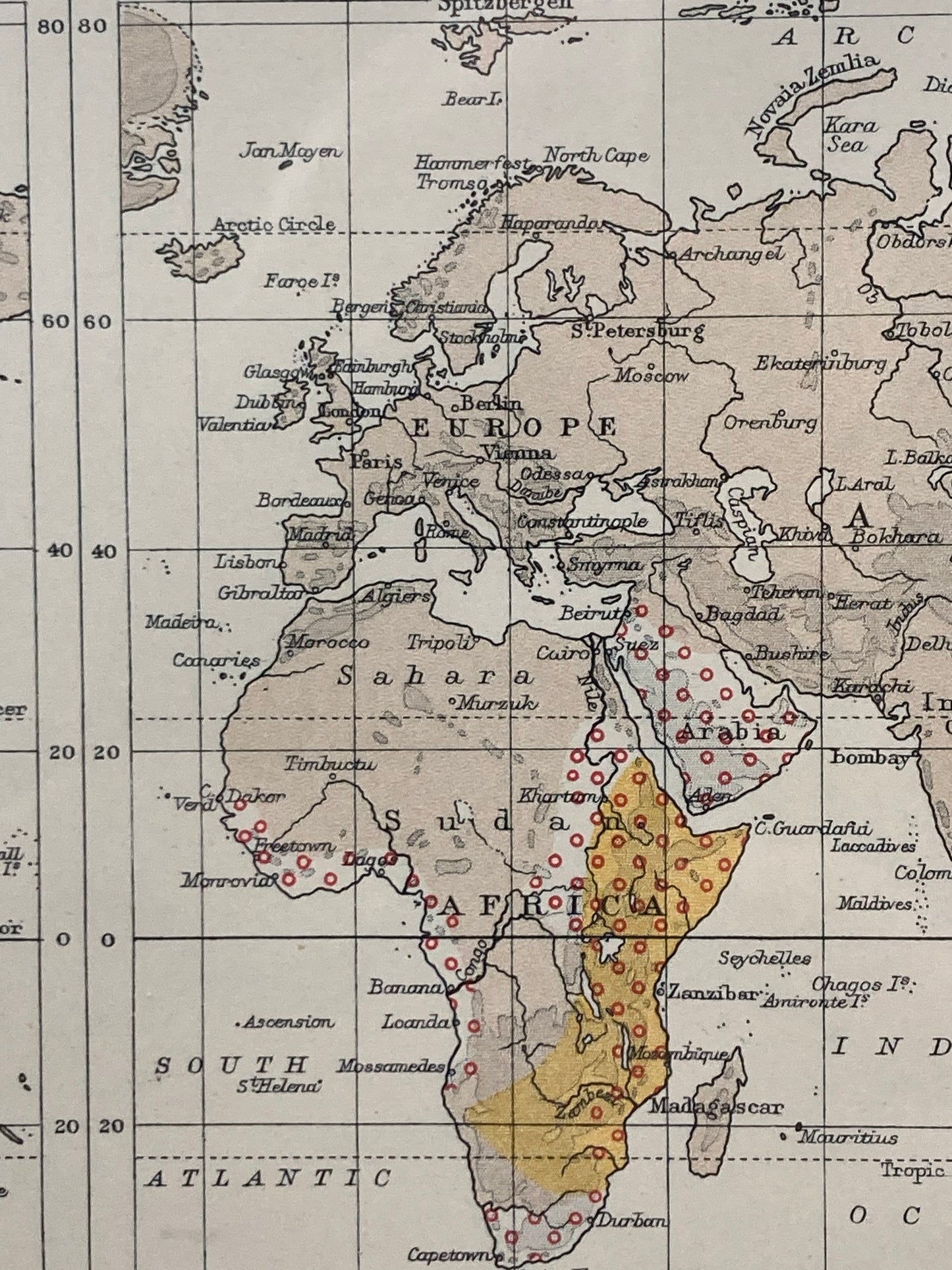 Antique Zoogeography Map - MAMMALIA UNGULATA Vintage Zoology Chart Early 20th Century