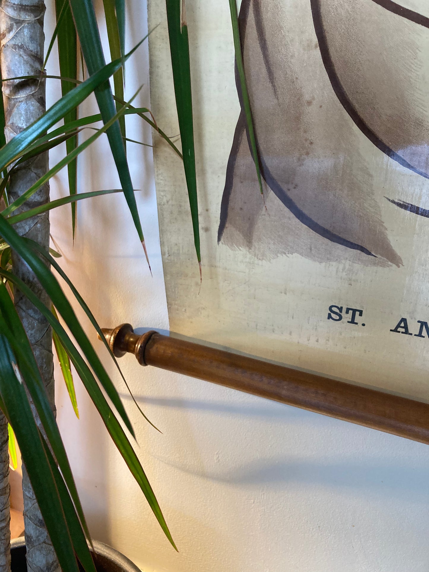 Antike anatomische Fuß- und Sprunggelenksillustration – Tafel LIV | Muskeln, Sehnen und Knochenstruktur – Frühe Anatomie – ORIGINAL