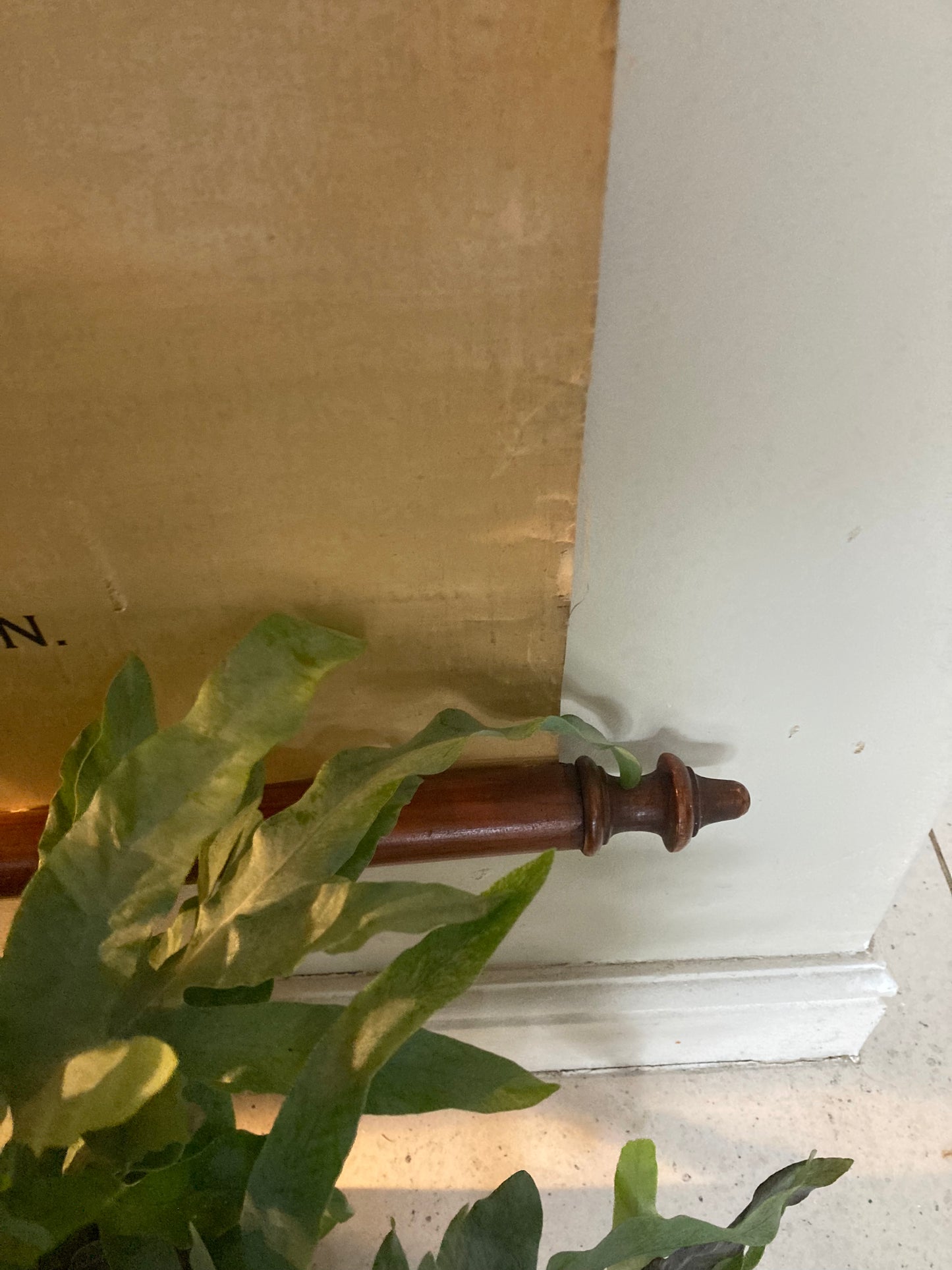 Antike anatomische Fuß- und Sprunggelenksillustration – Tafel LIV | Muskeln, Sehnen und Knochenstruktur – Frühe Anatomie – ORIGINAL