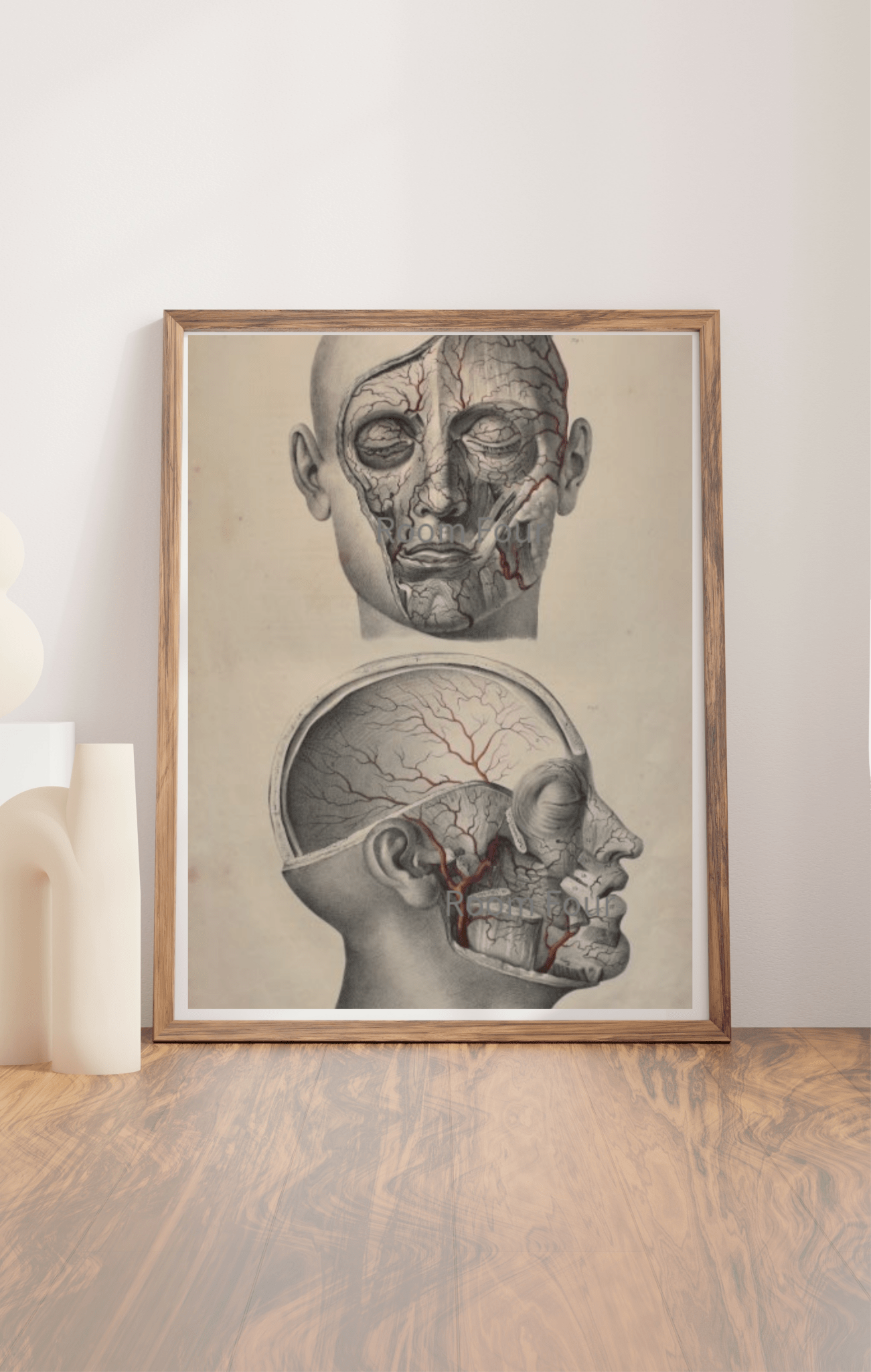 Anatomical Digital Wall Art - Vascular Head & Face - Room Four