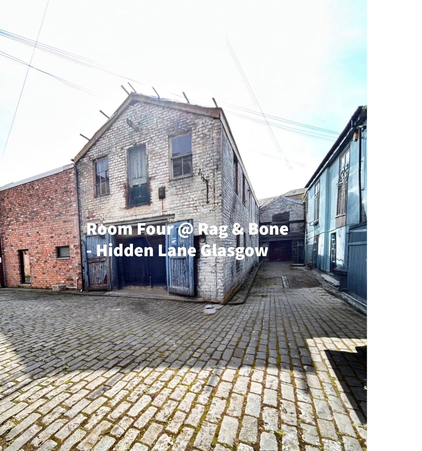 Anatomical Drawings from Room Four Prints at The Hidden Lane, Finnieston, Glasgow