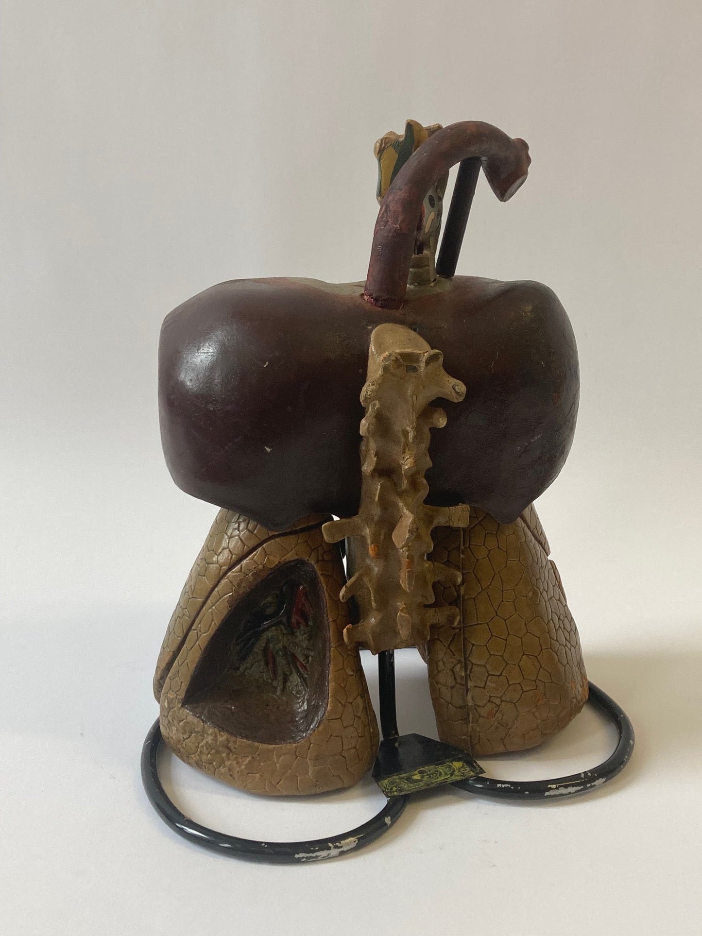 Anatomical Model - Human Respiratory System - Room Four