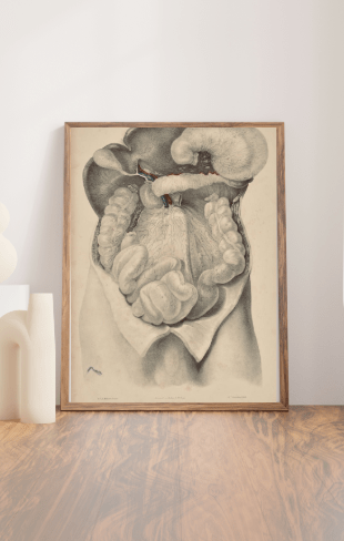 Anatomical Original Wall Art - Vascular 45 - Room Four
