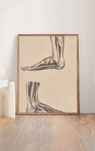 Anatomical Original Wall Art - Vascular Feet 32 - Room Four