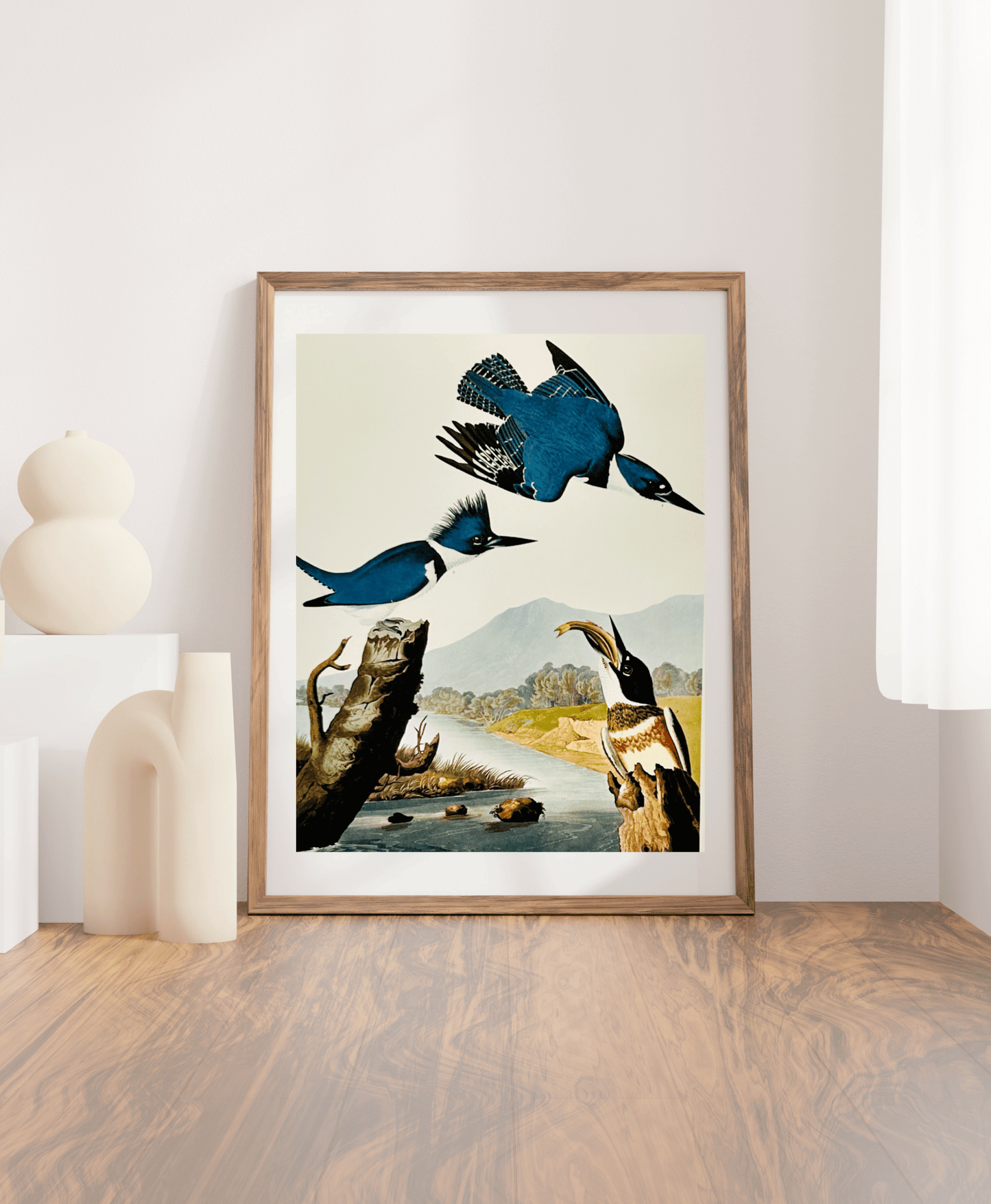 Audubon Vintage 1964 Lithographic Bird Print - Belted Kingfisher - Room Four