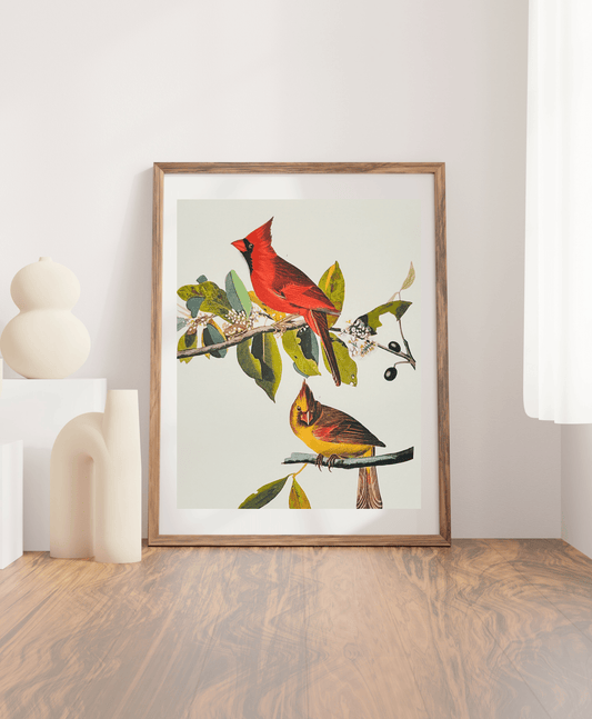 Vintage 1964 lithographic bird print by John James Audubon featuring the Cardinal Grosbeak from Birds of America.