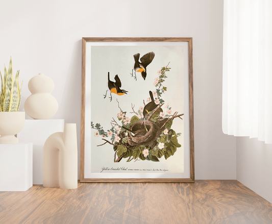 Audubon Vintage 1964 Lithographic Bird Print - Yellow Breasted Chat - Room Four