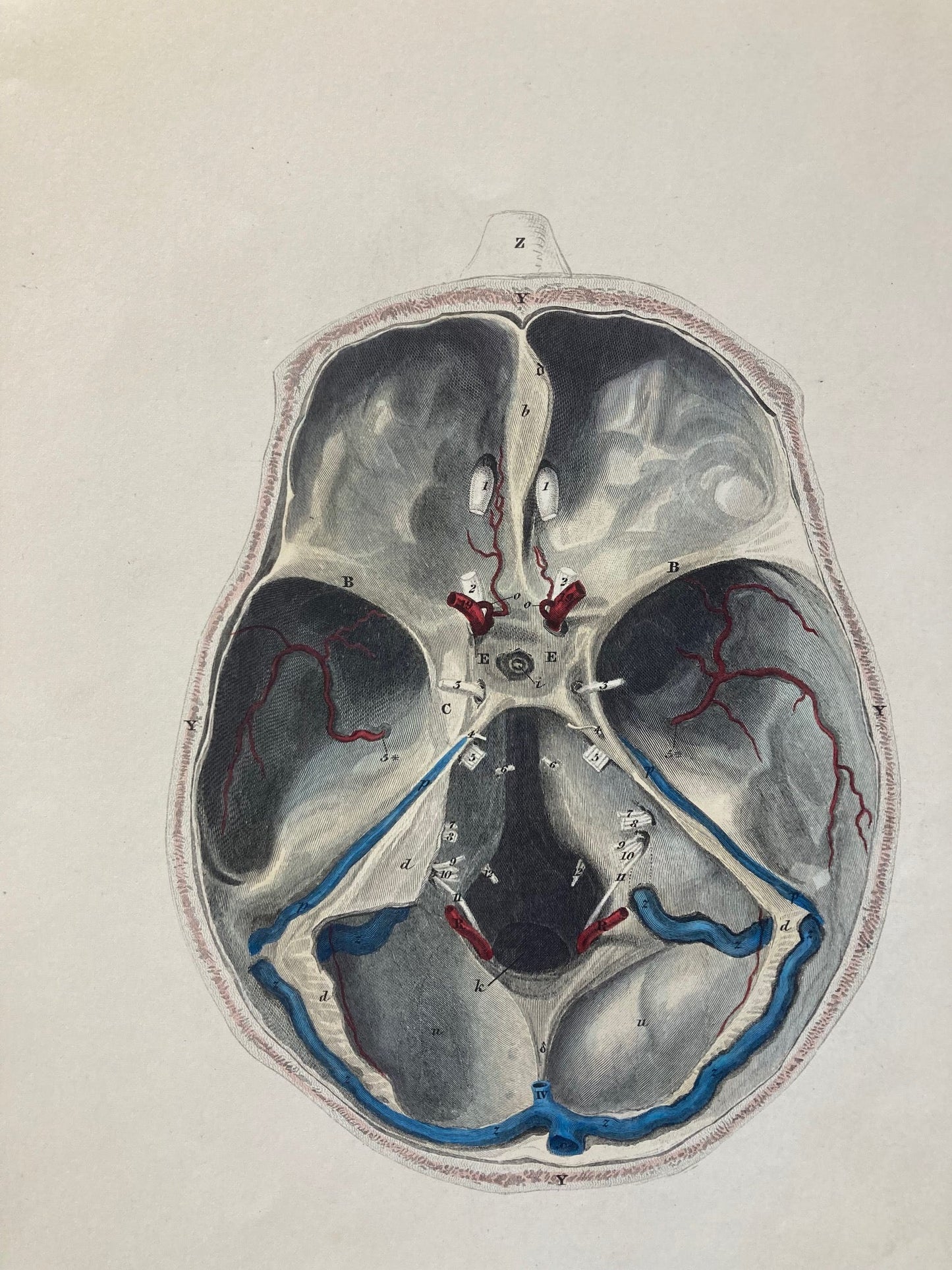 early anatomy - plate LXV - original - Room Four