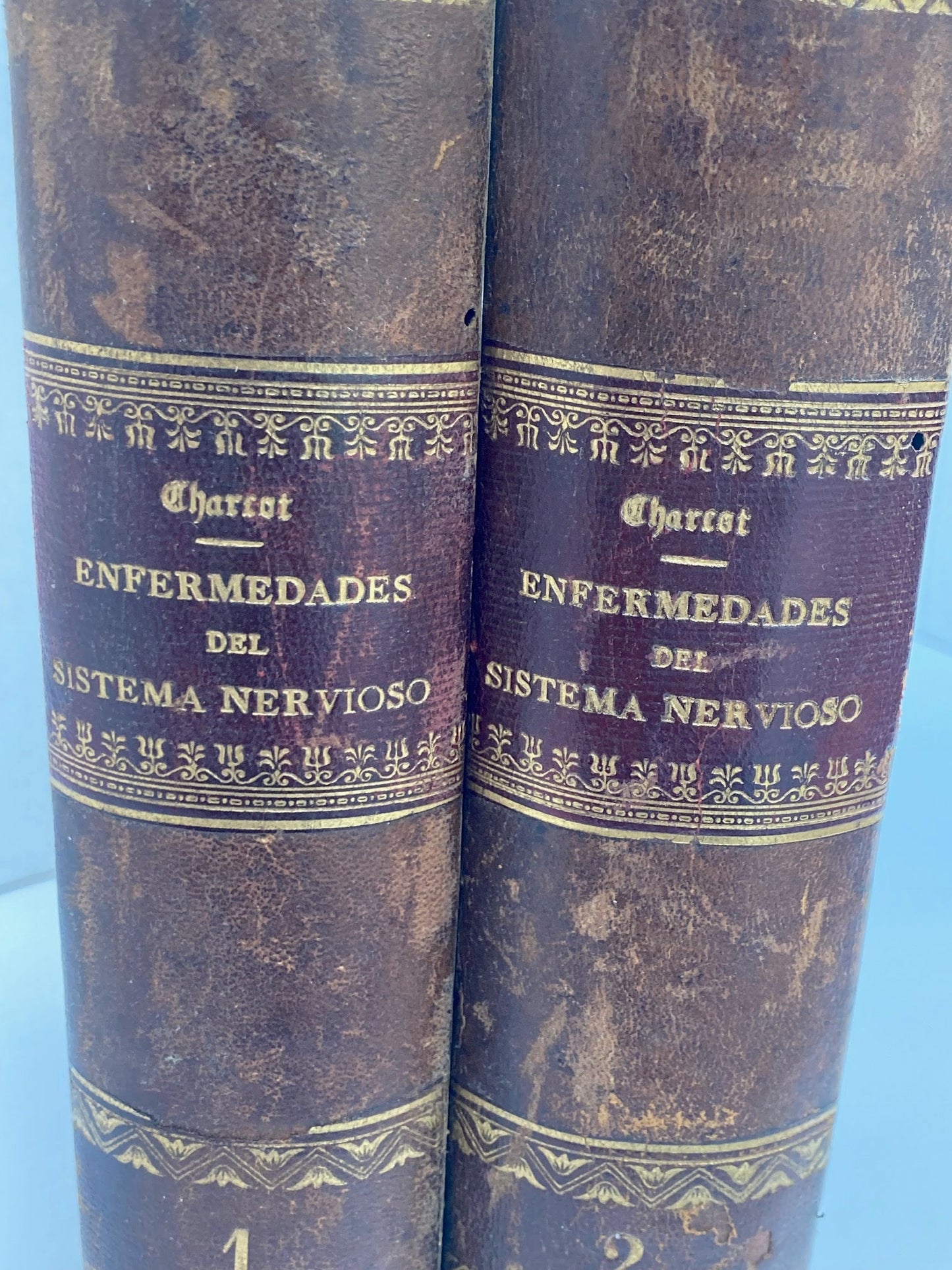 Enfermedades del Sistema Nervioso (2 Volumes) - Room Four