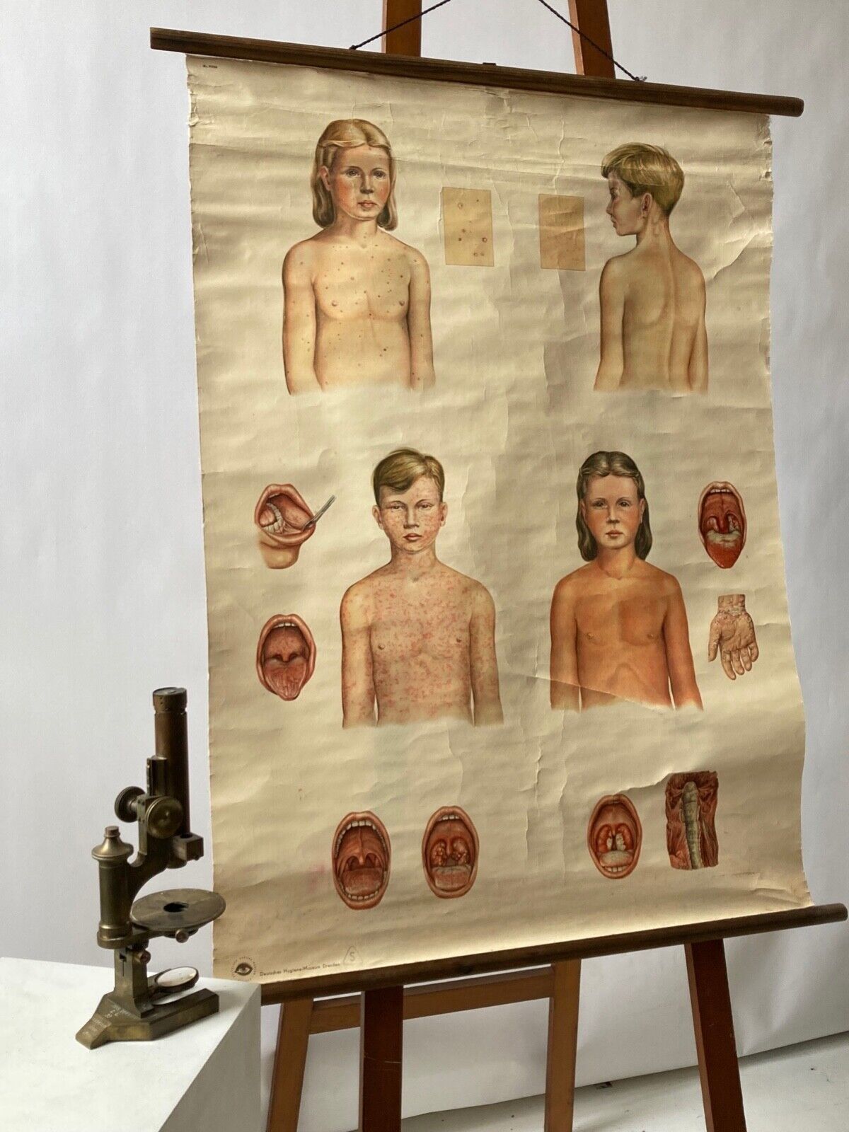 Germany Youth Health Chart - Room Four