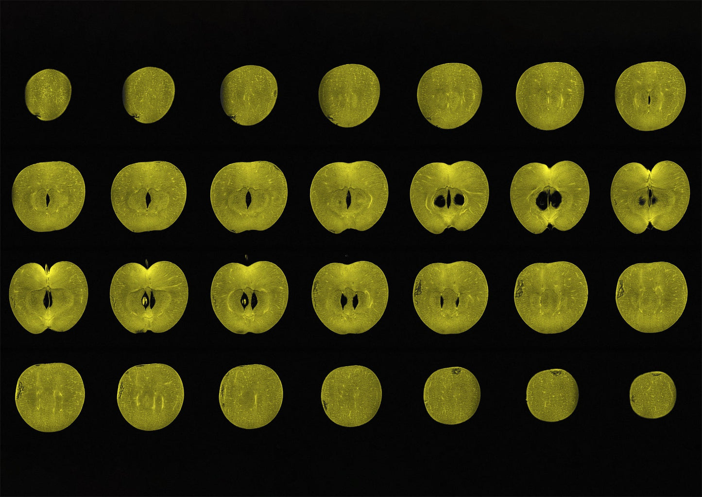 Green Apple Fruit MRI Scan Kitchen Wall Art Print - Room Four