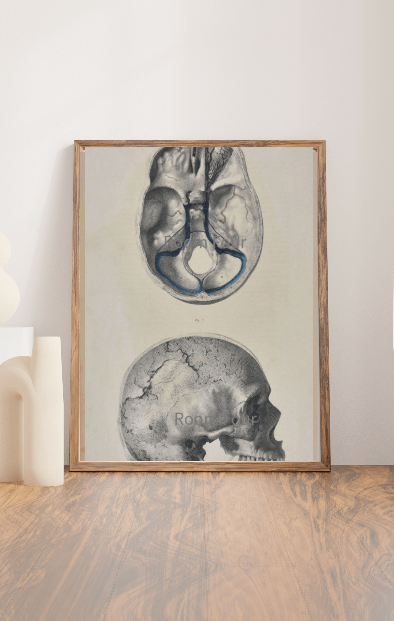 Human Skull ... Wall Art Digital Print - Room Four
