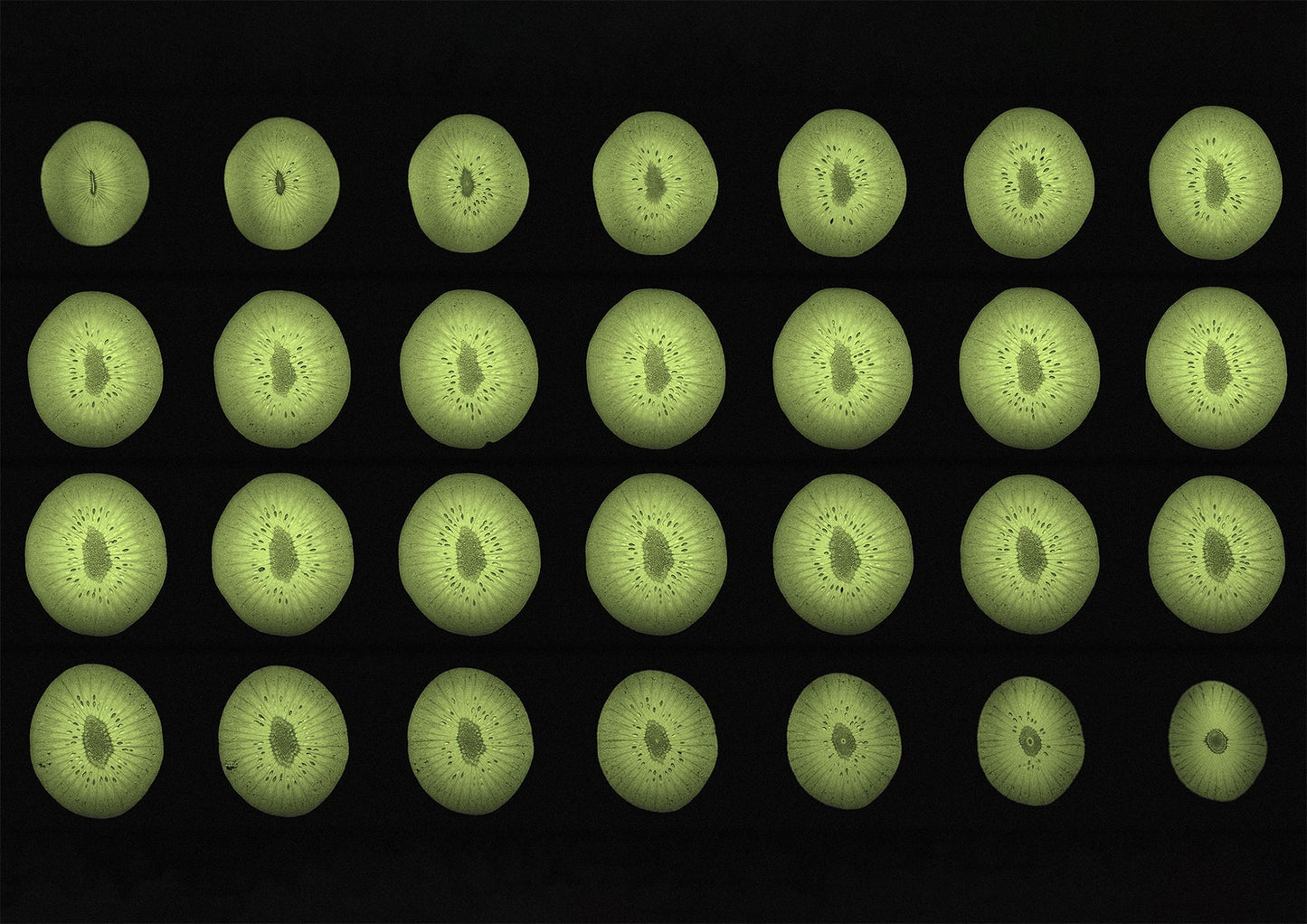 Kiwi Fruit MRI Scan Kitchen Wall Art Print (ii) - Room Four
