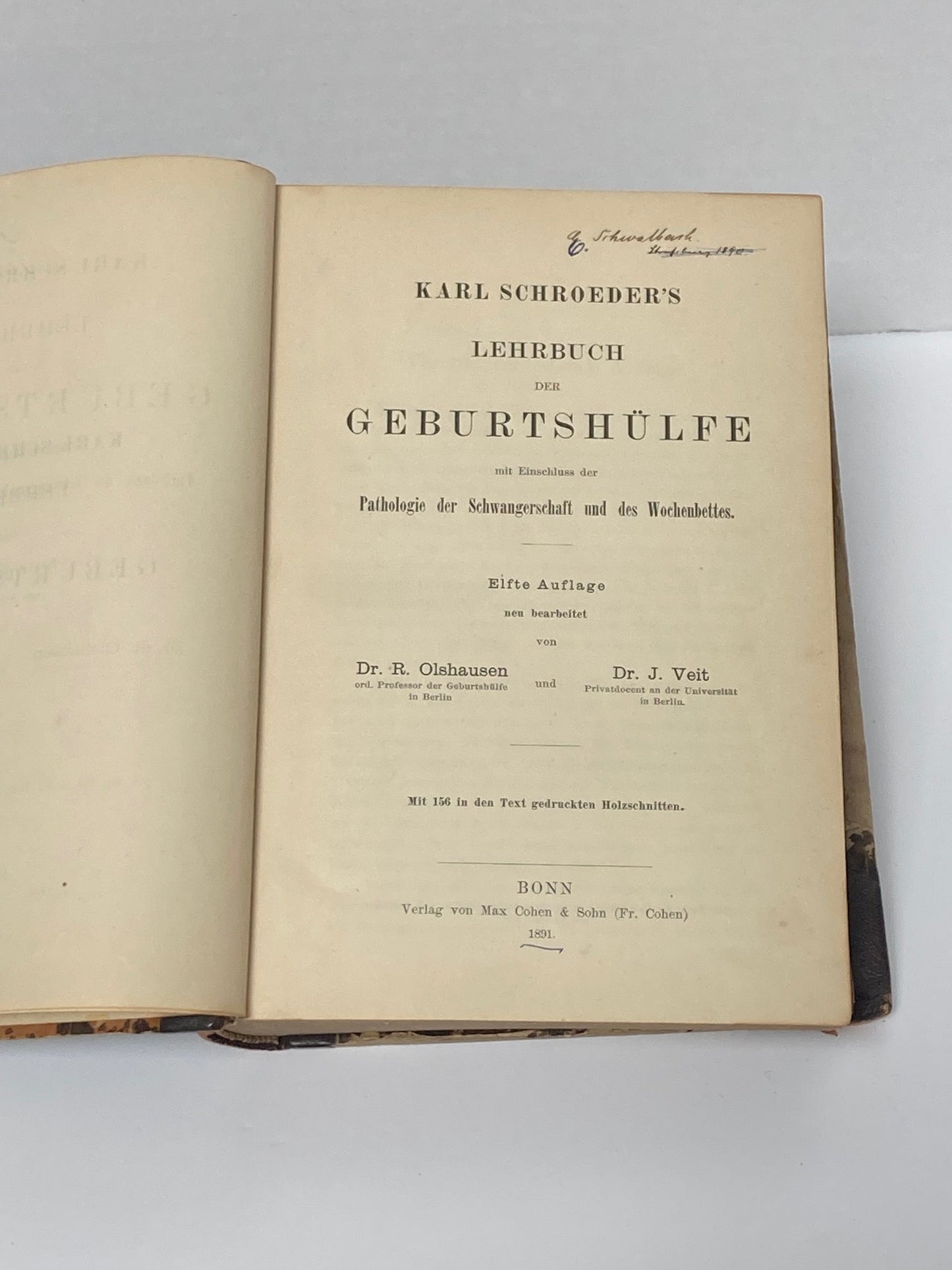 (Obstetrics) Lehrbuch der Geburtshilfe - 1891 - Room Four