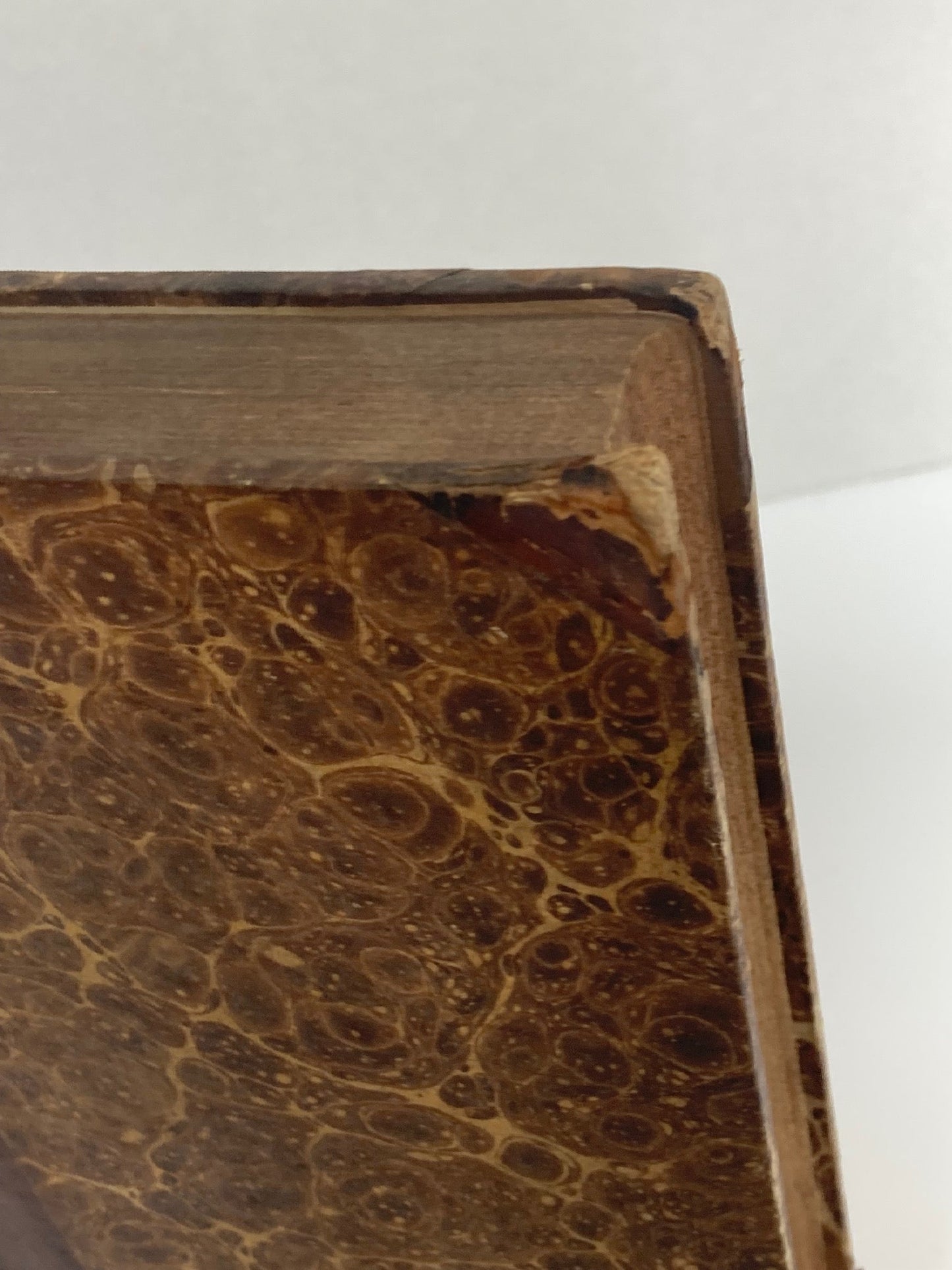 Pathologie und Therapie. Volume 2 - Room Four