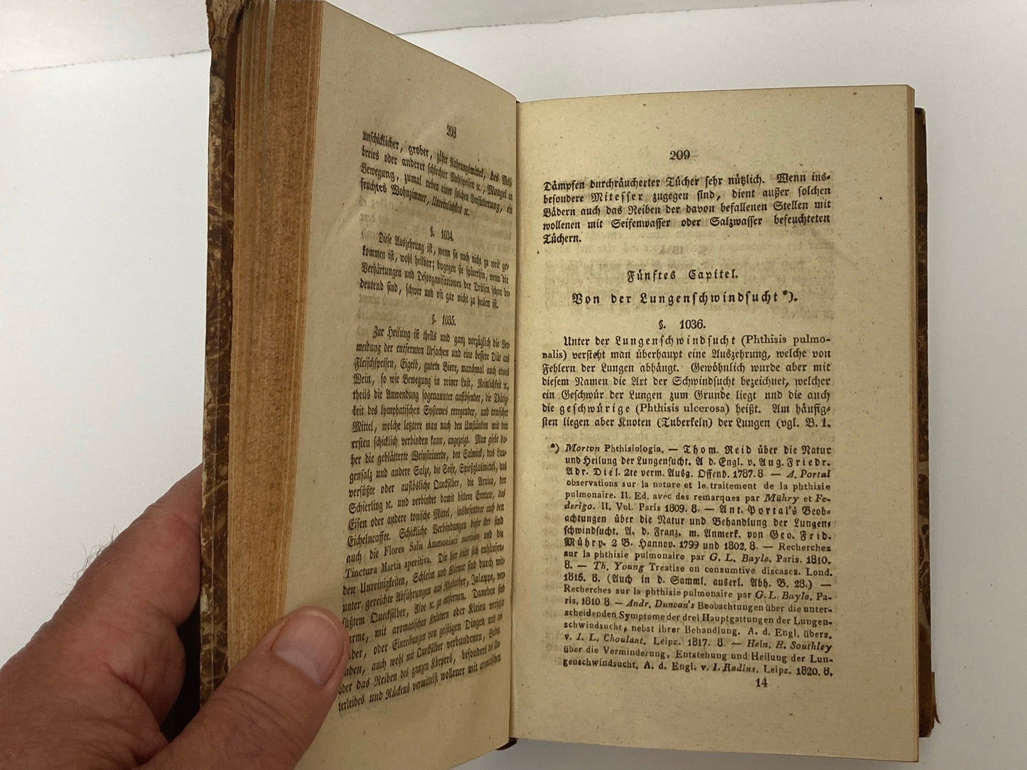 Pathologie und Therapie. Volume 2 - Room Four