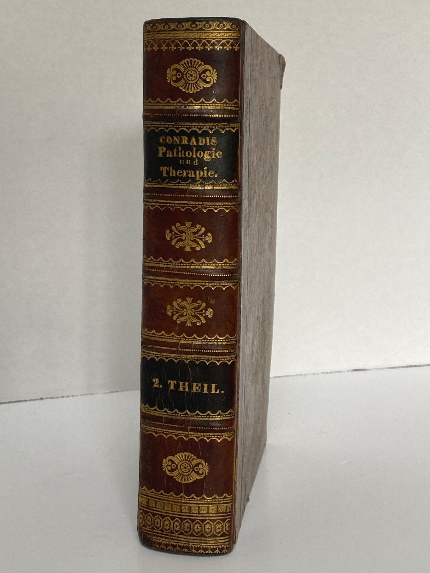 Pathologie und Therapie. Volume 2 - Room Four