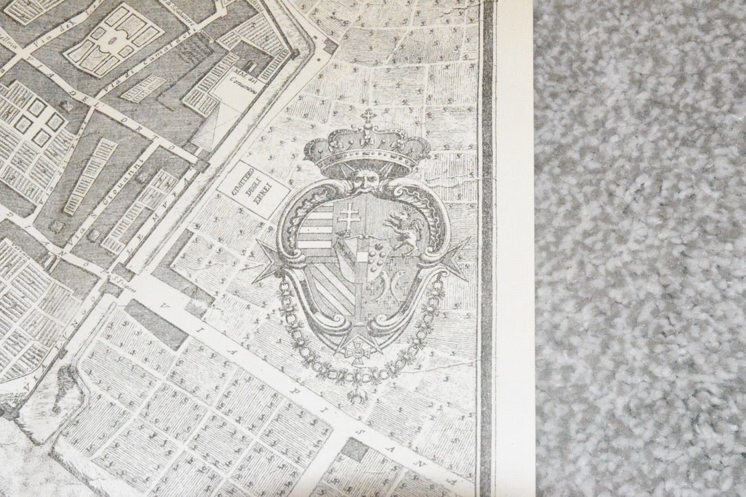 Pianta Della Citta Di Firenze Rilevata Esattamente Nell Anno 1783 - Room Four