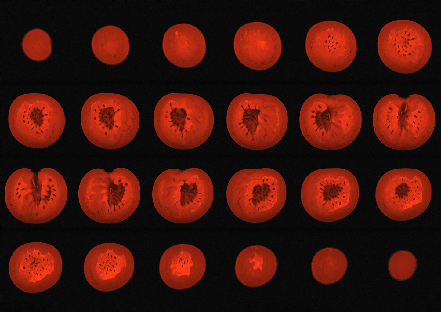 Red Tomatoe Collage MRI Scan Kitchen Wall Art Print - Room Four