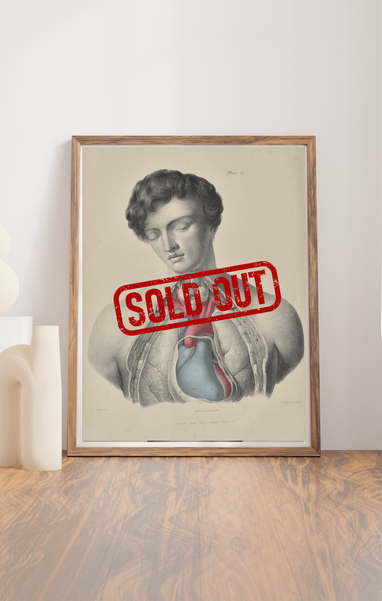 Sold – 19th Century Vascular Anatomical Drawing Plate 1 (Quain) - Room Four