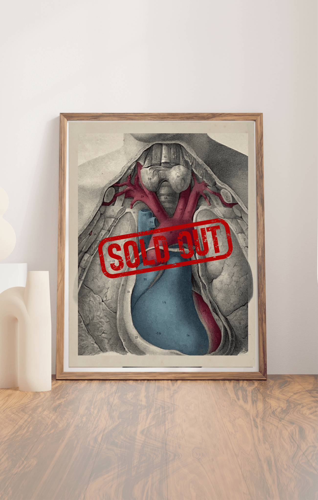 Sold – 19th Century Vascular Anatomical Drawing Plate 1 (Quain) - Room Four