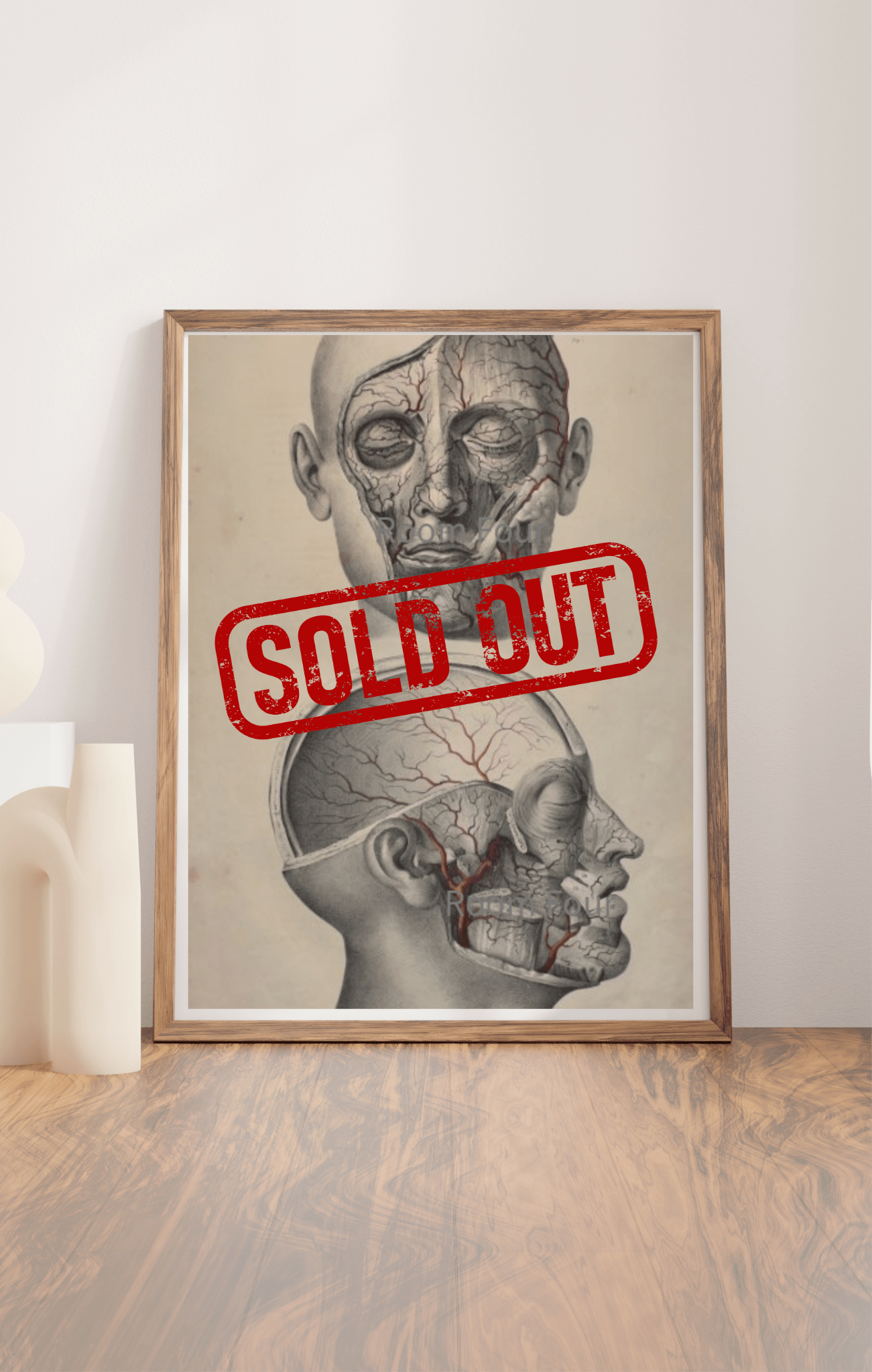 Sold - 19th Century Vascular Anatomical Drawing Plate 6 (Quain) - Room Four