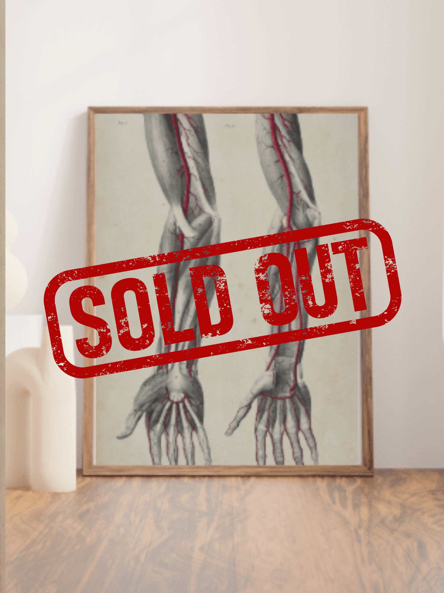 Sold – 19th Century Vascular Anatomical Drawing Plate 9 (Quain) - Room Four