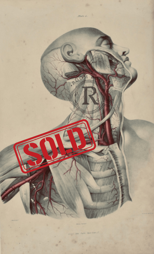 Sold – 19th - Century Vascular Anatomy, Plate 4 (Quain) - Room Four