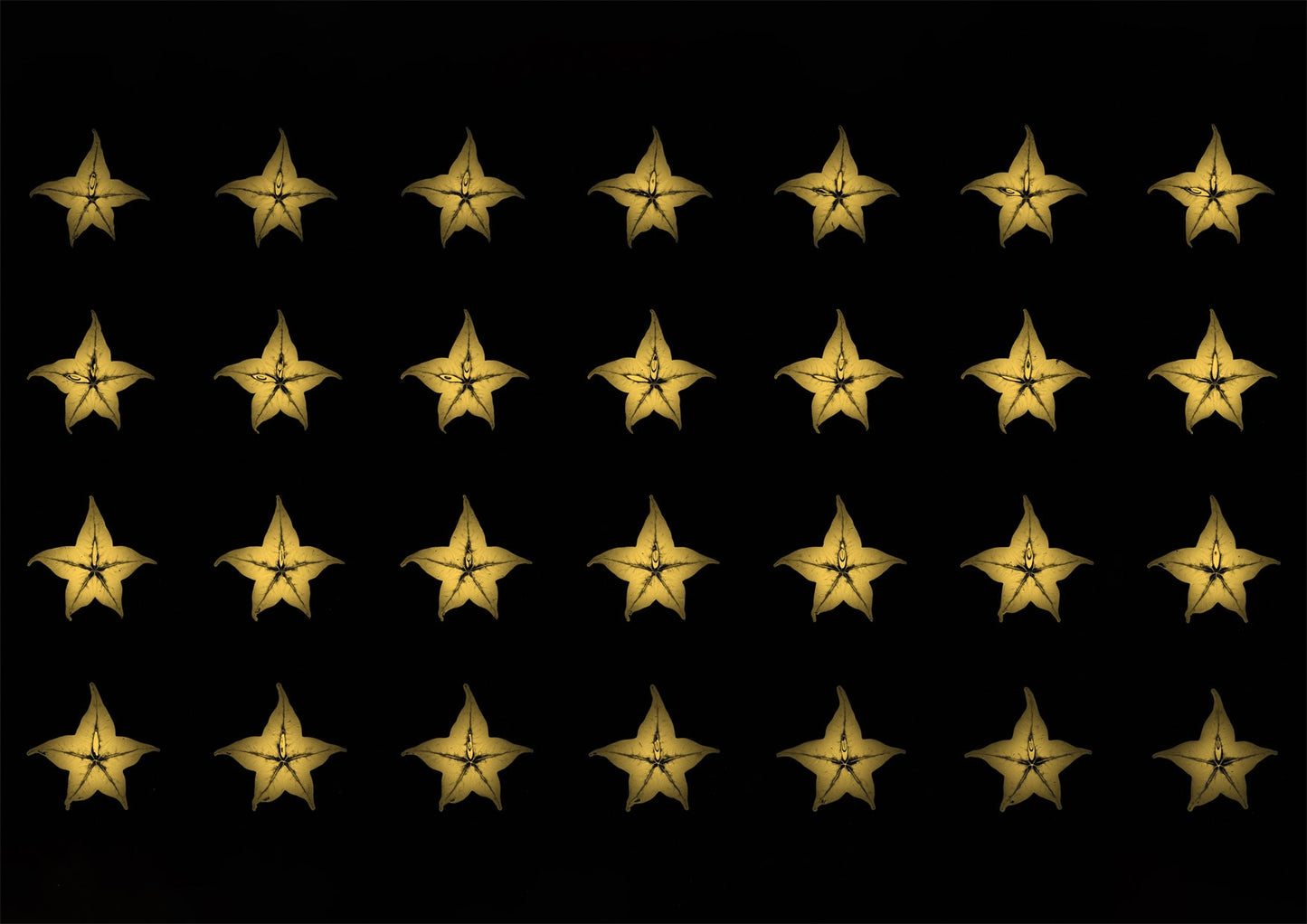Star Fruit MRI Scan Kitchen Wall Art Print - Room Four