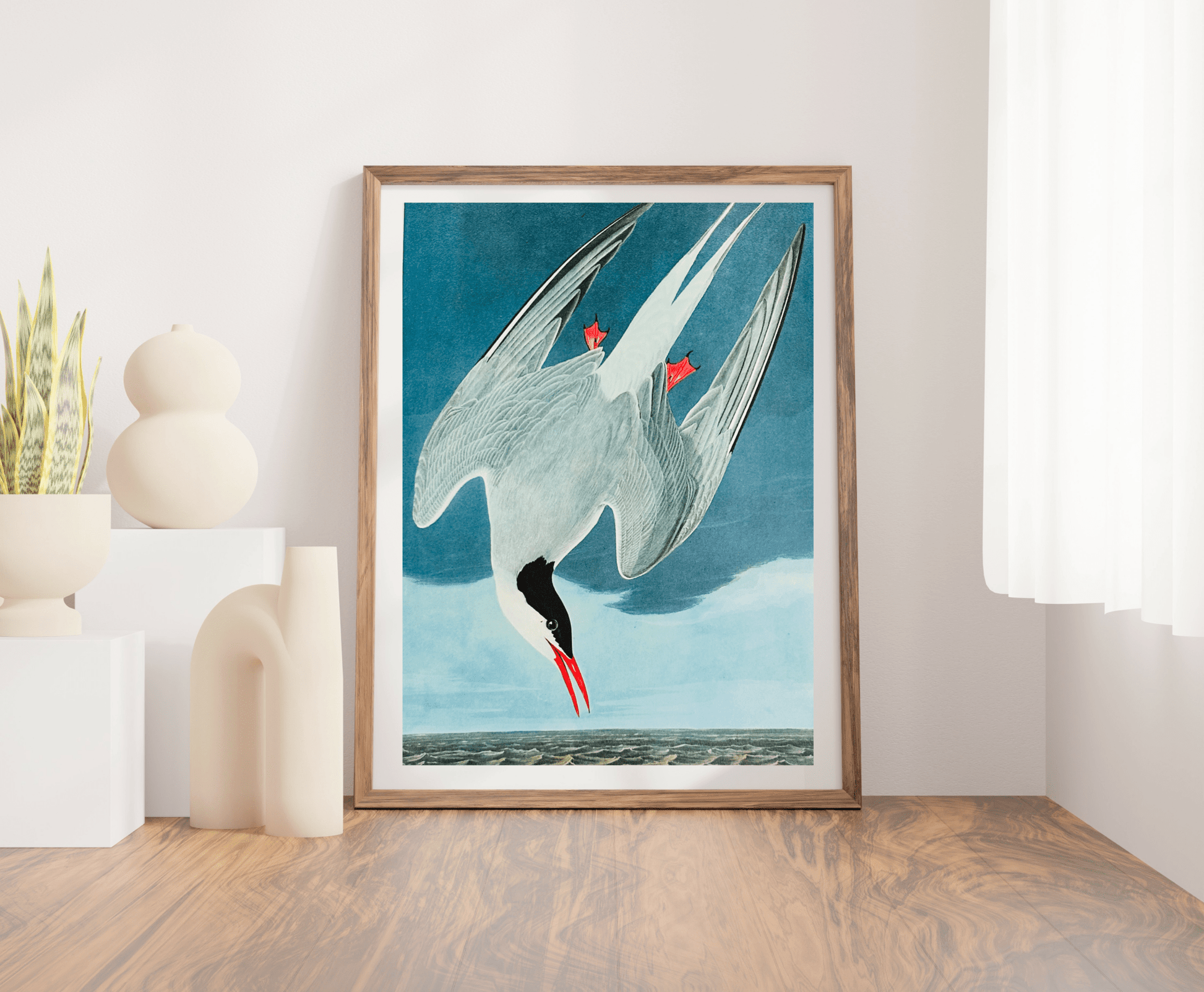 Vintage 1964 Lithograph Print - Arctic Tern - Room Four