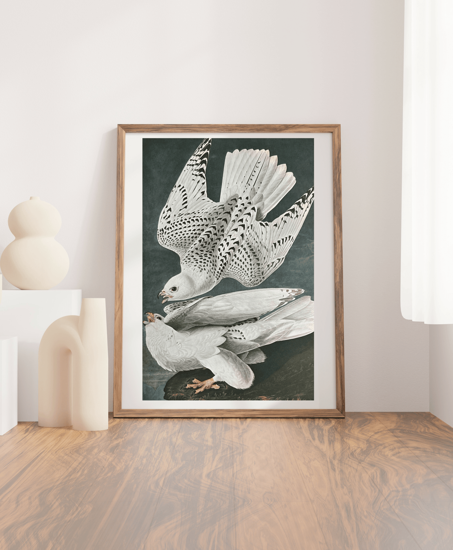 Vintage 1964 Lithographic Print - Iceland Falcon - Room Four