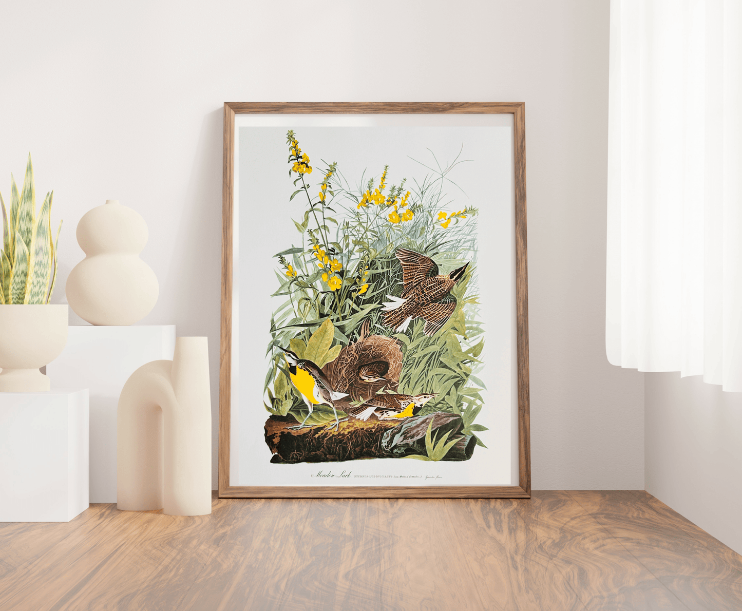 Vintage 1964 Lithographic Print - Meadow Lark - Room Four