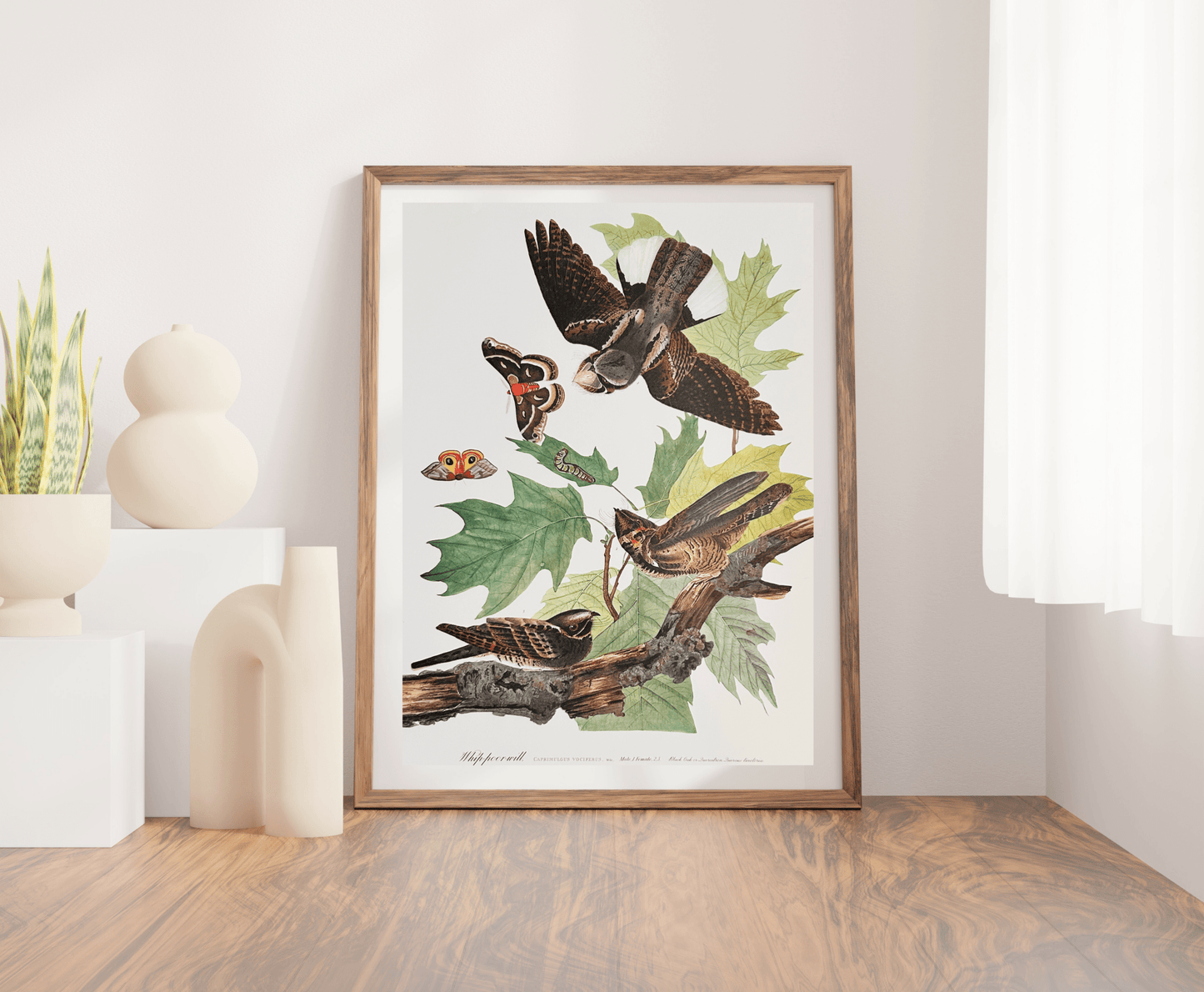 Vintage 1964 Lithographic Print - The Whipperwill - Room Four