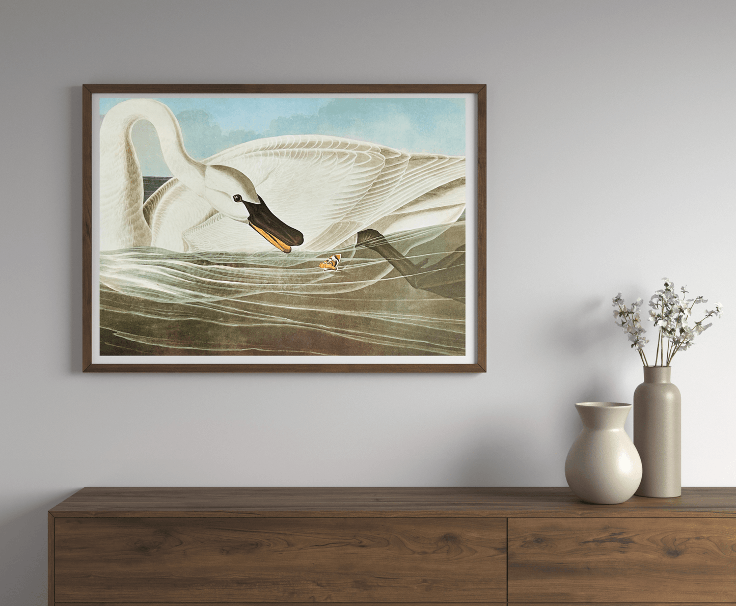 Vintage 1964 Lithographic Print - Trumpeter _ Swan - Room Four Vintage 1964 Lithographic Print - Trumpeter Swan - Room Four