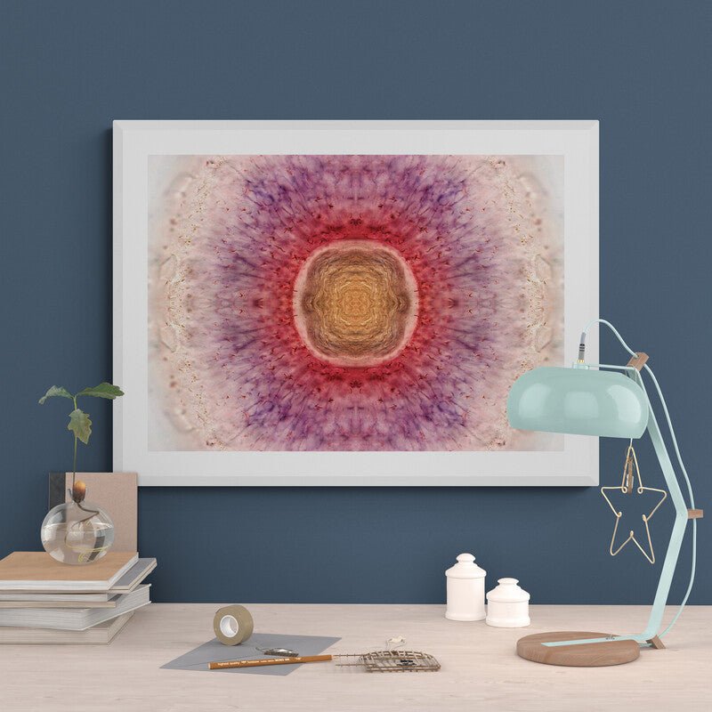 Zebrafish Eye At Sunrise Wall Art Print - Room Four