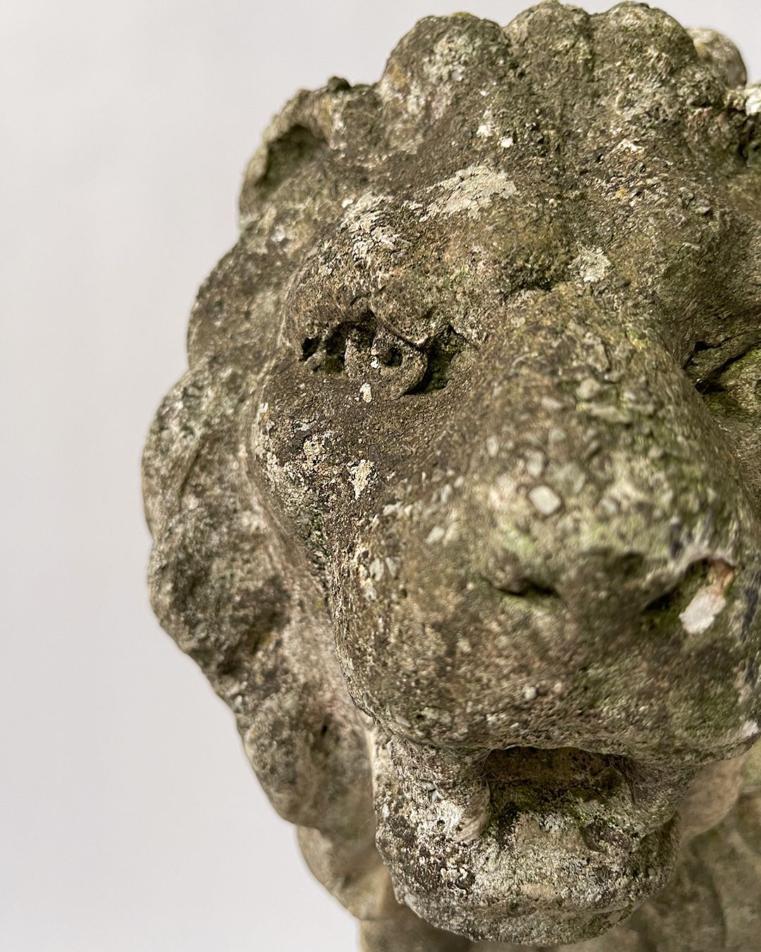 Estatua de piedra del león de los Medici, siglo XX