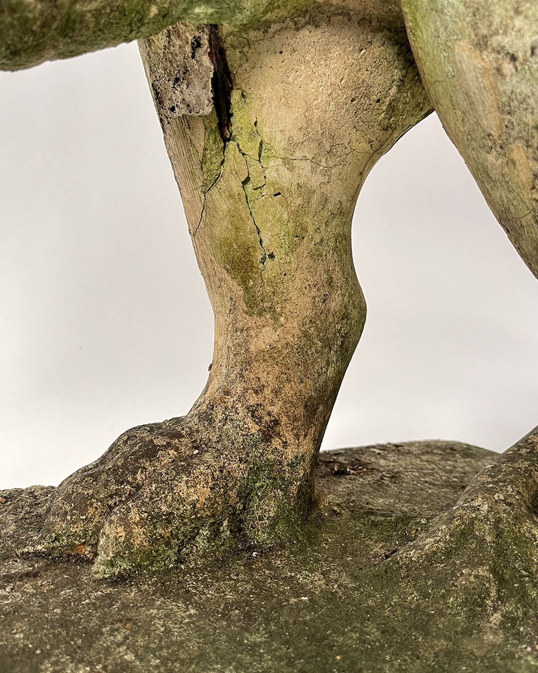 Estatua de piedra del león de los Medici, siglo XX