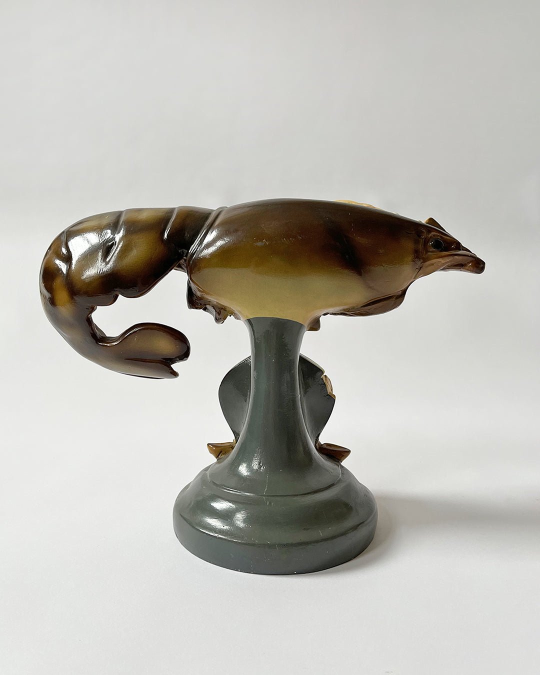 American Crayfish - ANATOMICAL MODEL - Room Four