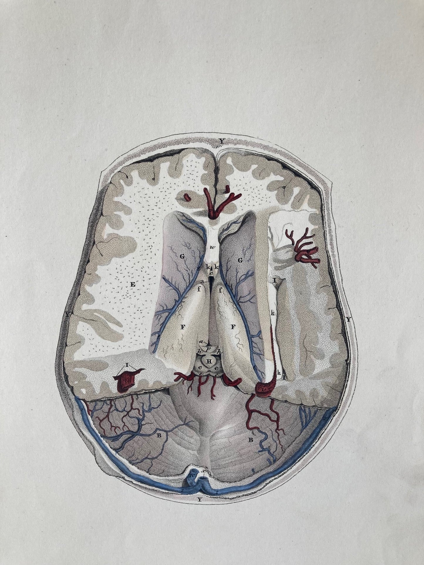 early anatomy - plate LXIII - original - Room Four