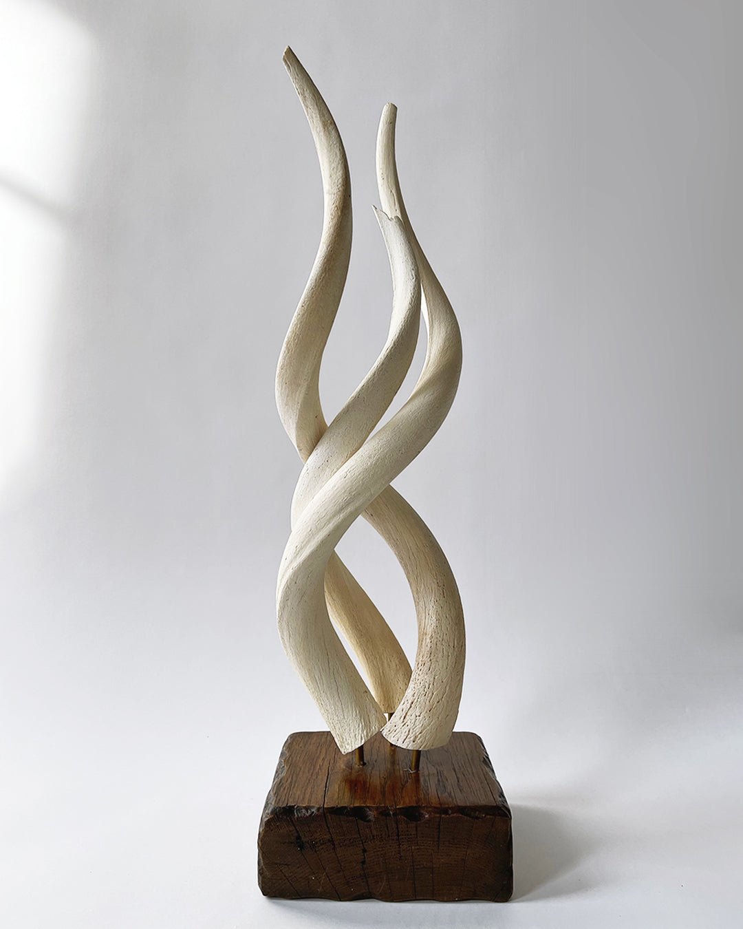Kudo Horn Sculpture - Room Four