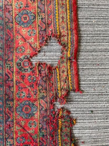 "Palace" Oushak Rug XXXL - Room Four